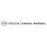 Wtm Wróbel Spółka Z Ograniczoną Odpowiedzialnością