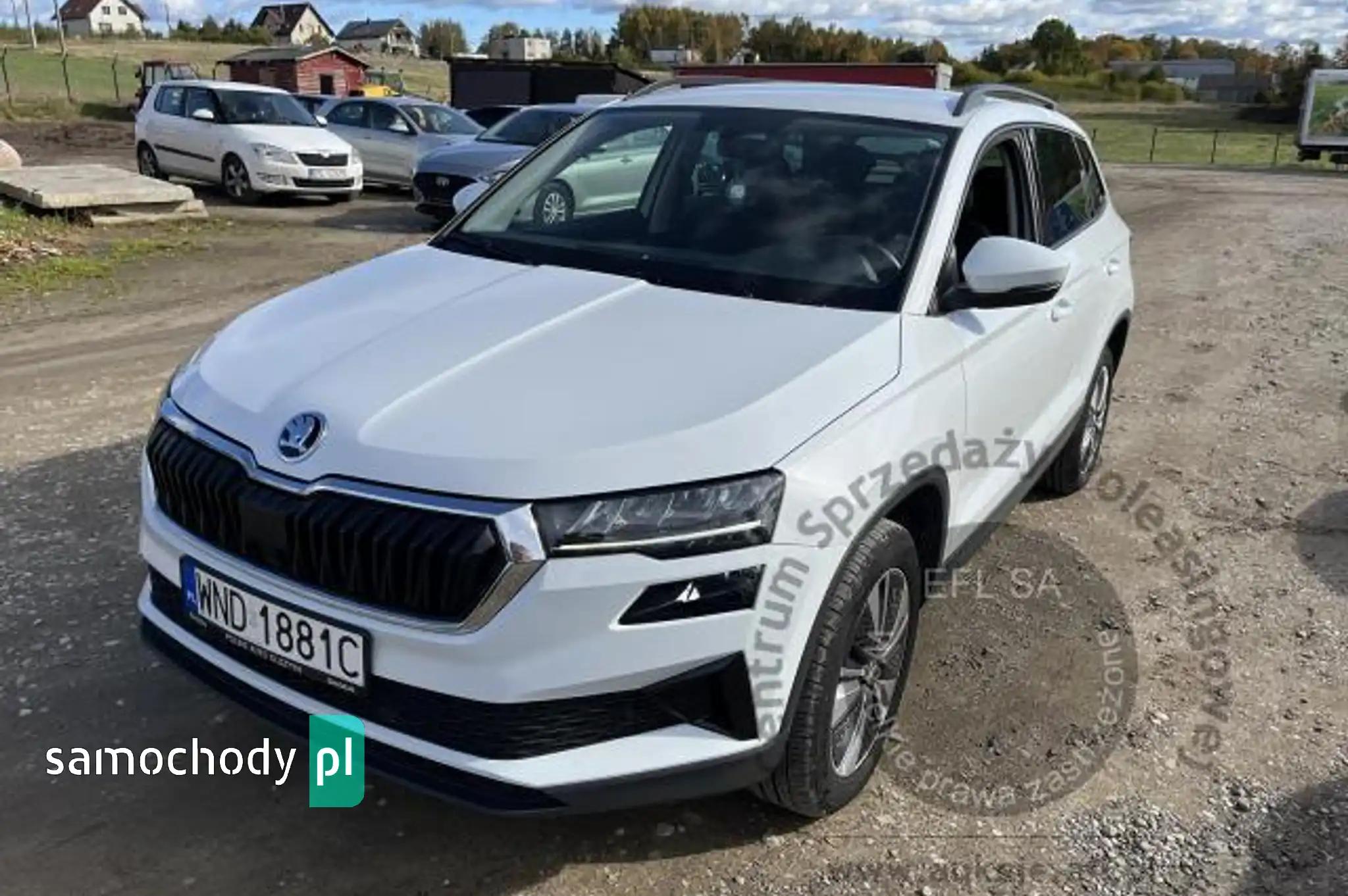 Skoda Karoq 2022