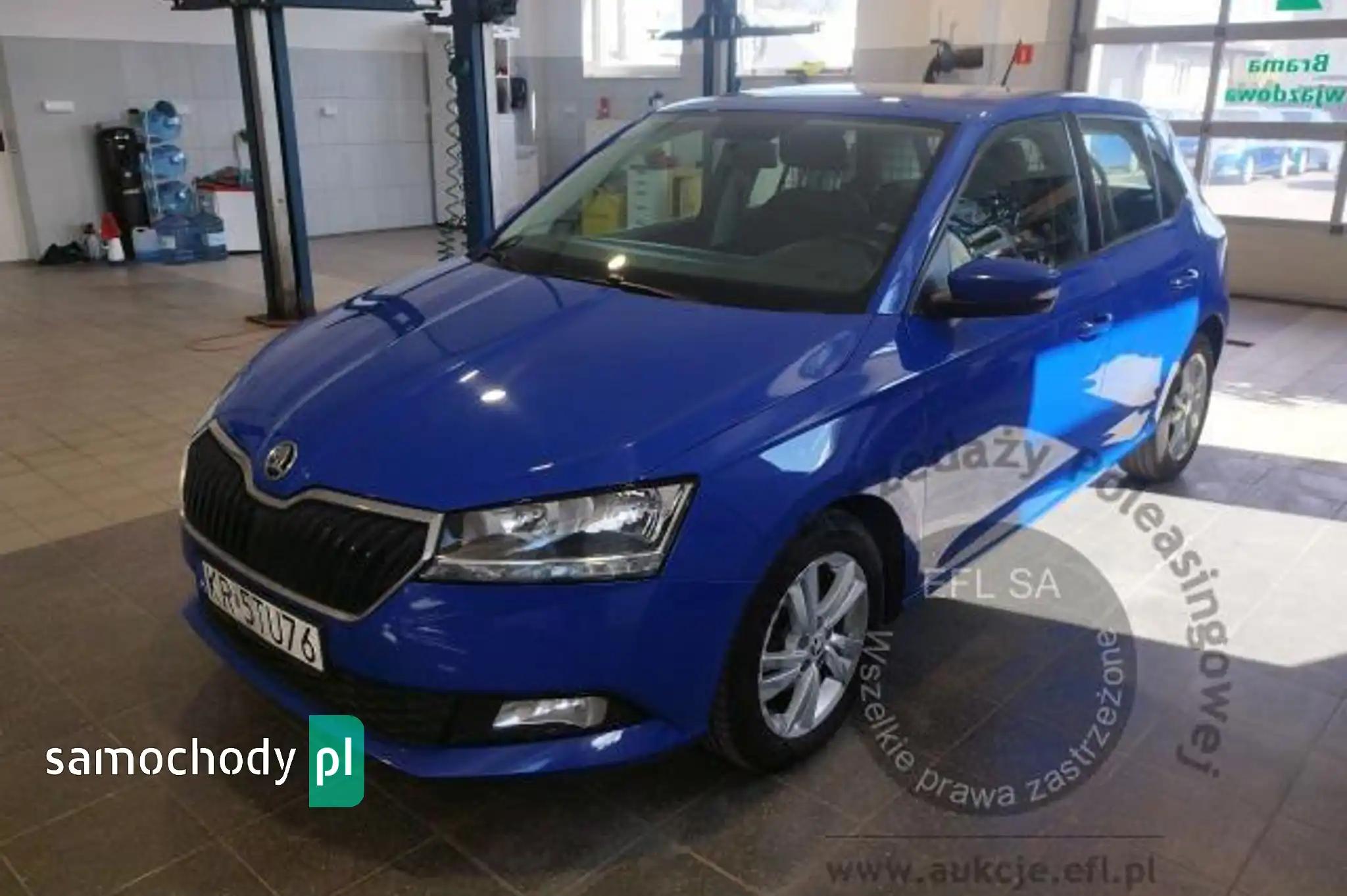 Skoda Fabia Practik Ciężarowy 2020