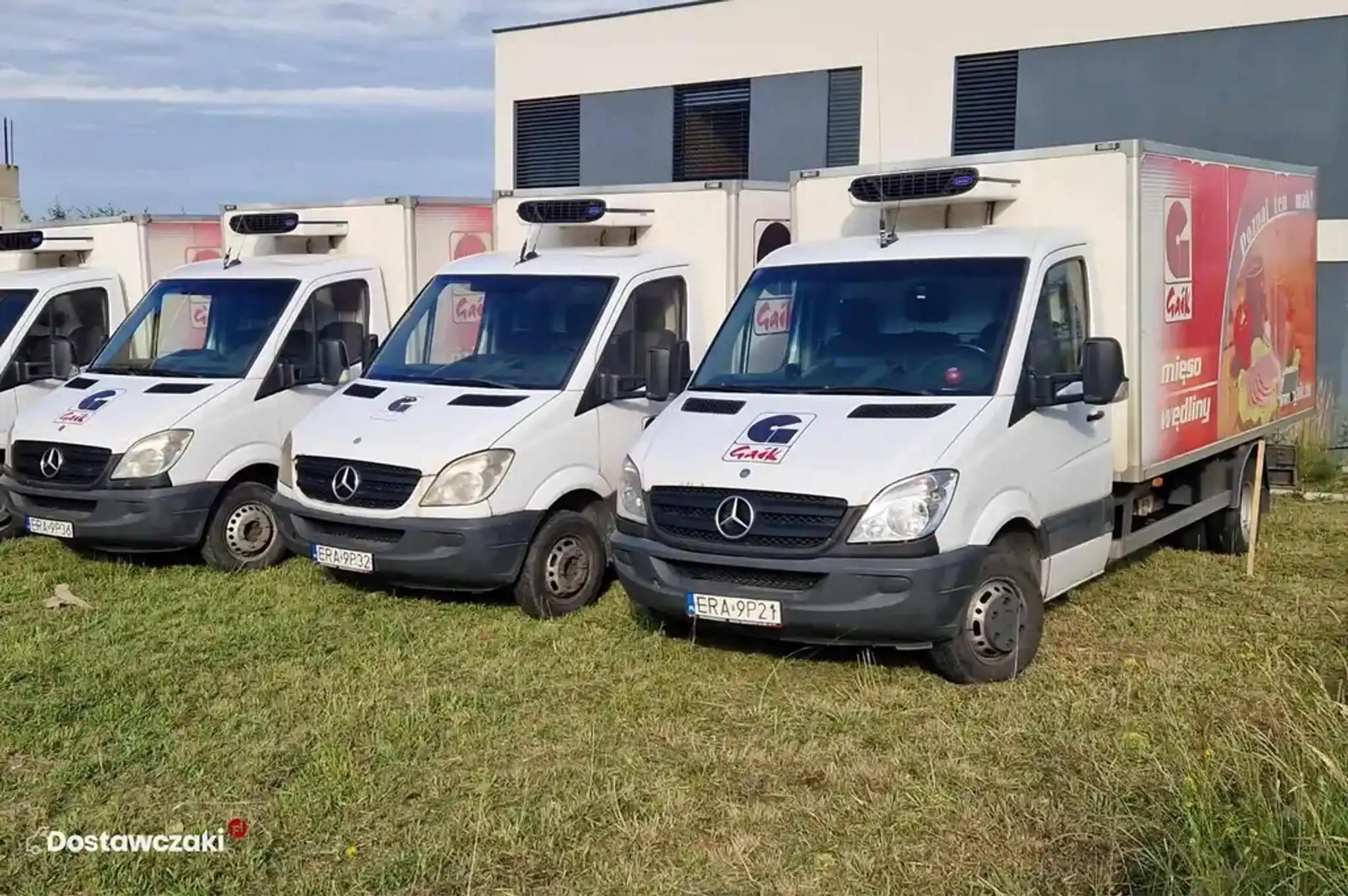 Mercedes-Benz Sprinter Chłodnia/Izoterma 2008