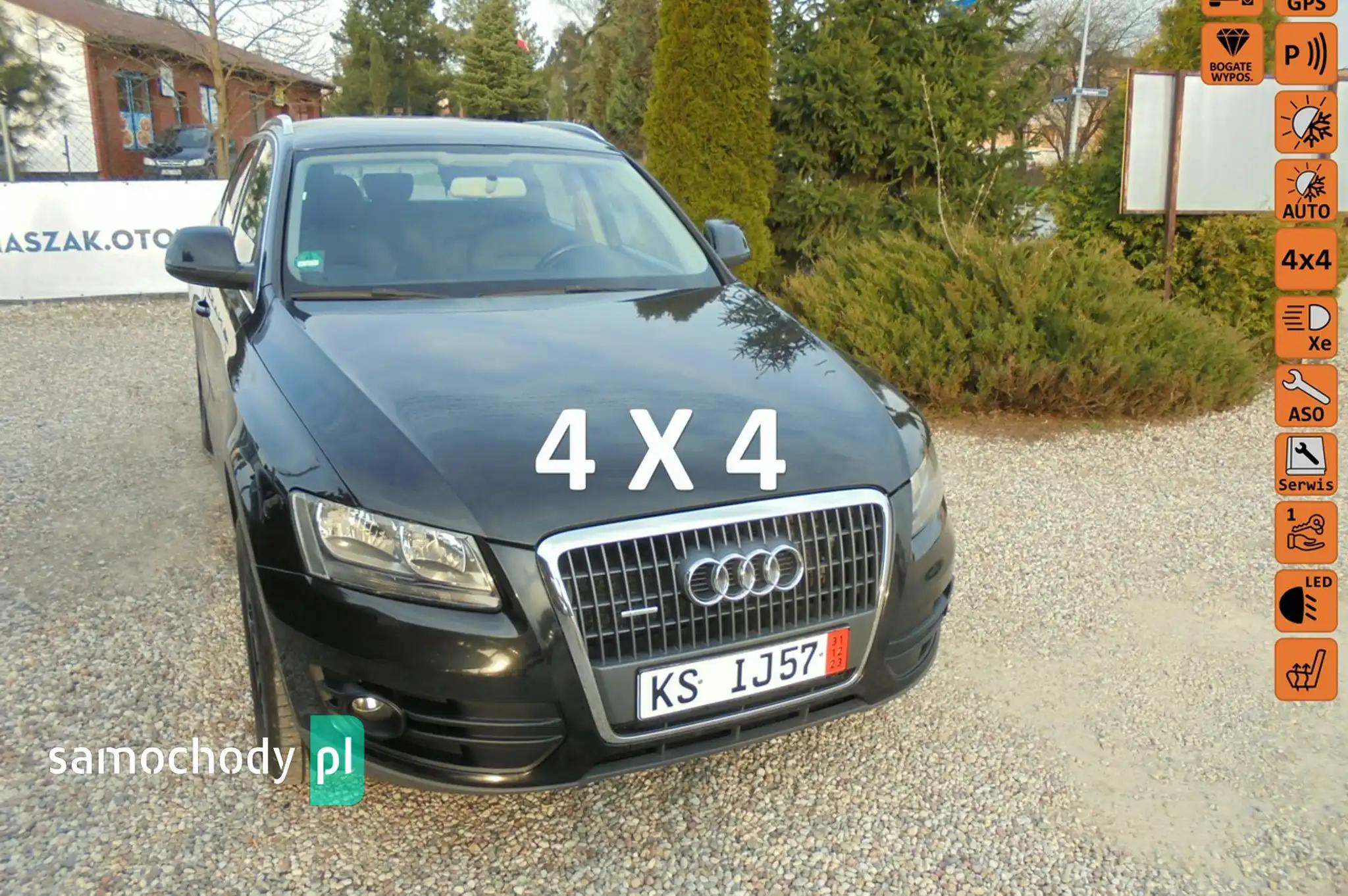 Audi Q5 SUV 2010