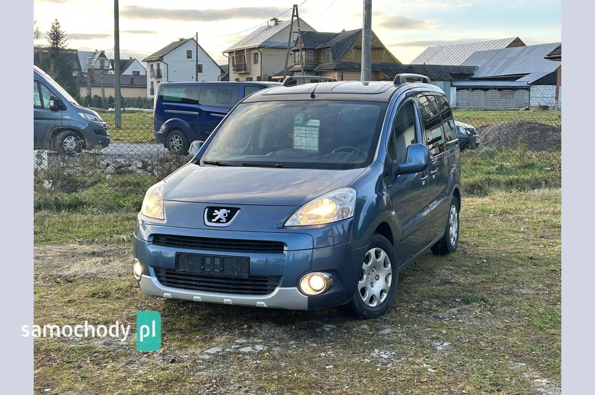 Peugeot Partner Minivan 2010