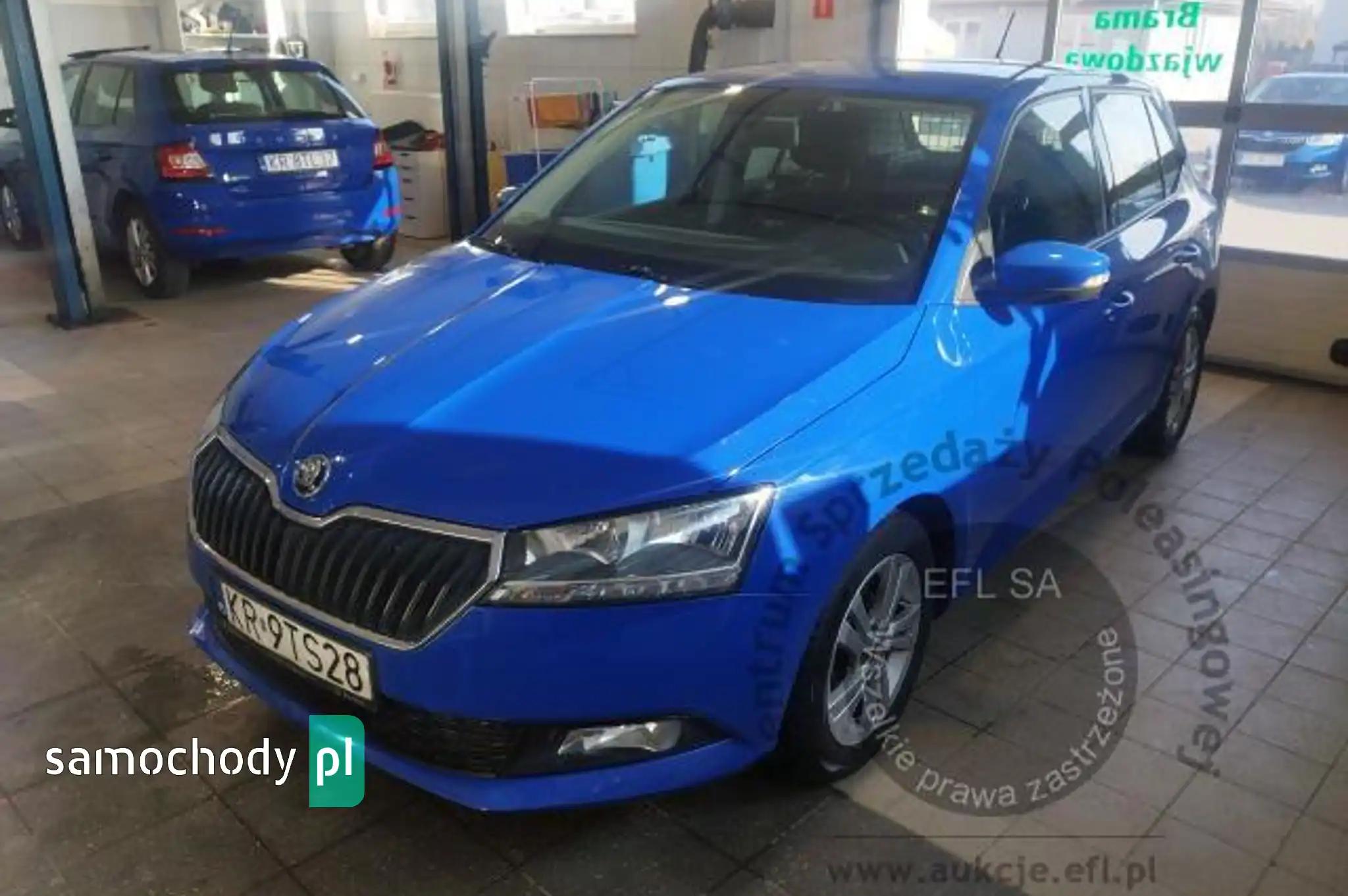 Skoda Fabia Practik Ciężarowy 2020