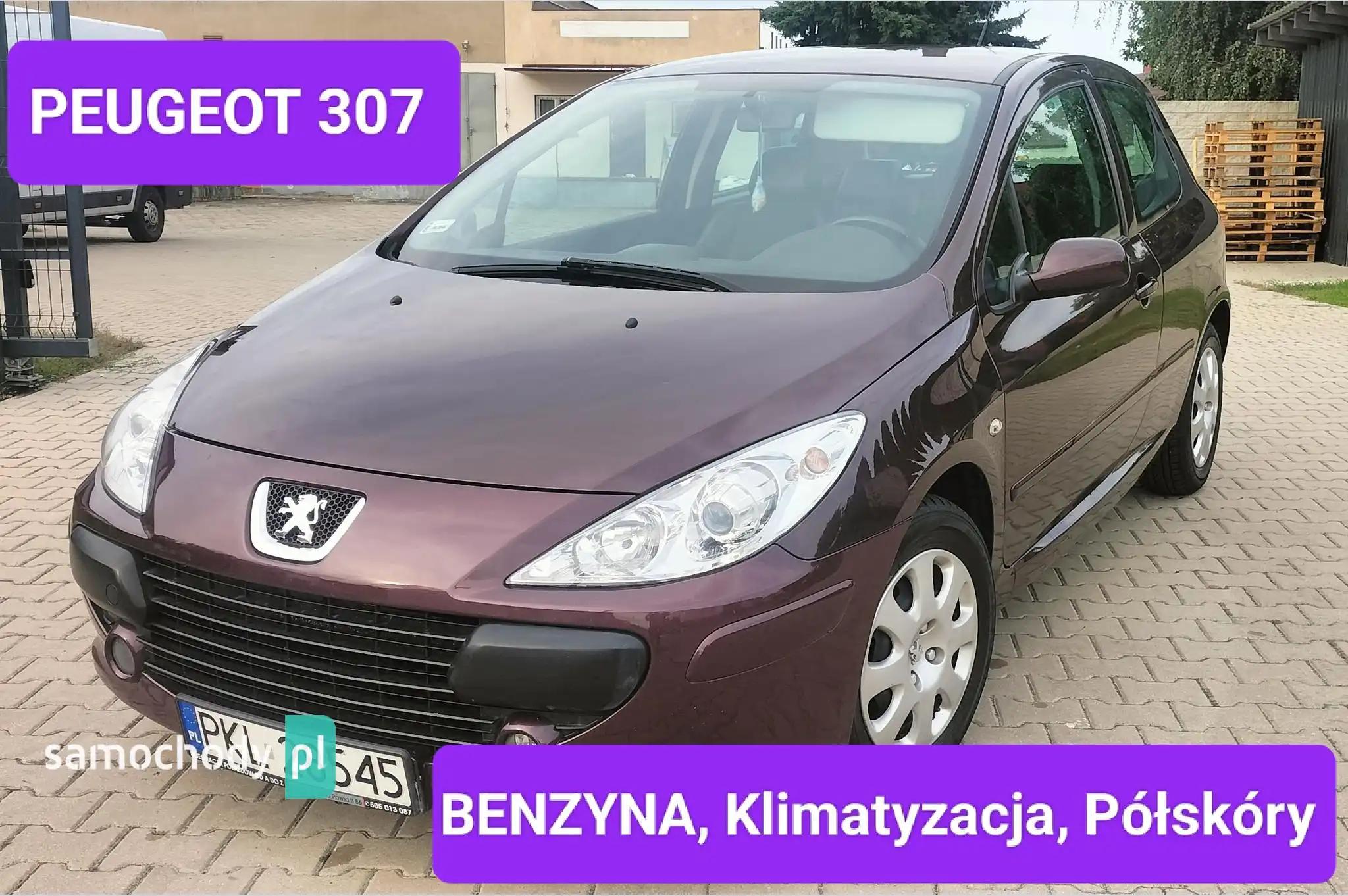 Peugeot 307 Hatchback 2006