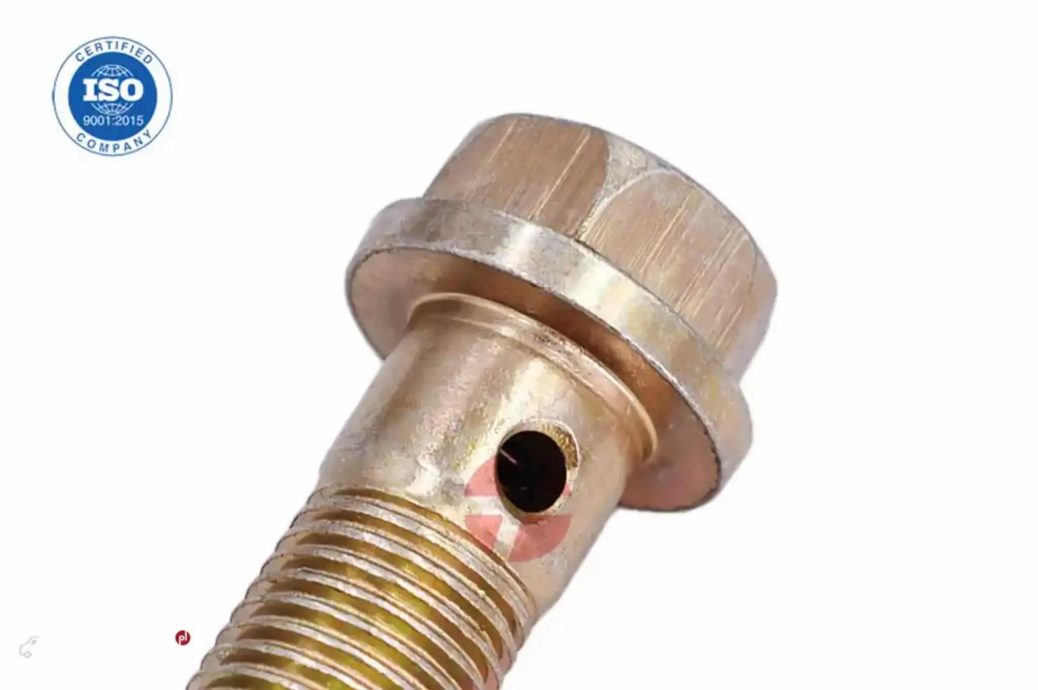 VE injection pump HOLLOW SCREW For BOSCH VE injection pump HOLLOW SCREW