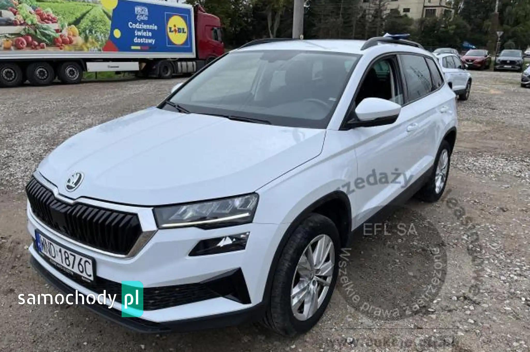 Skoda Karoq 2022