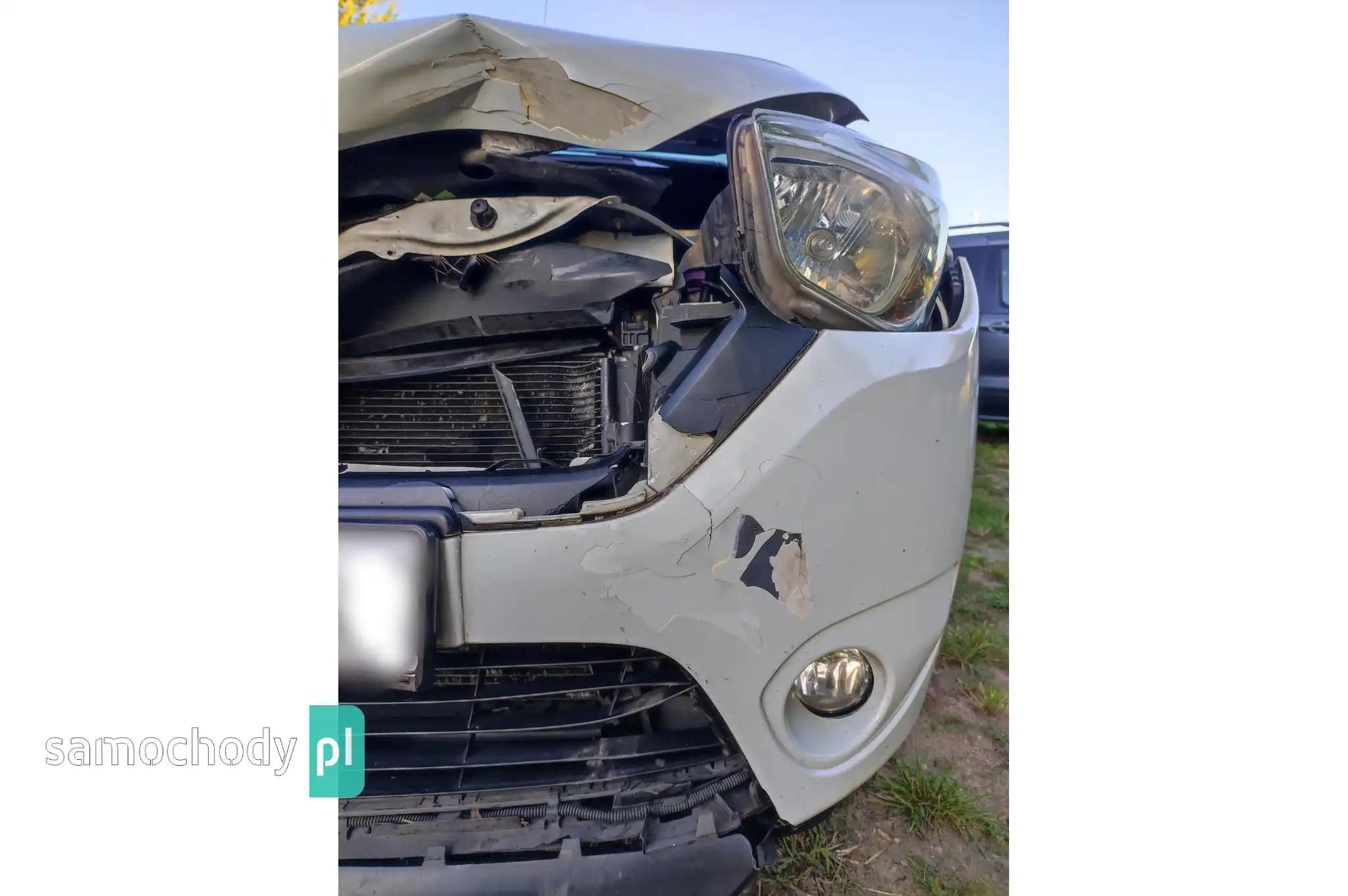 Pozostałe Dacia
